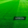 Semillas de cespéd Supercopa Zulueta