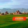 Semillas de cespéd Sahara Zulueta