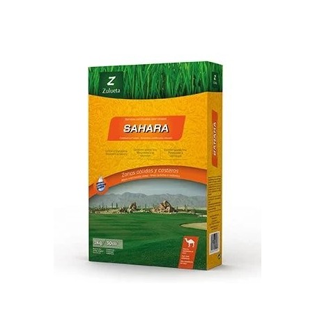 Semillas de cespéd Sahara Zulueta