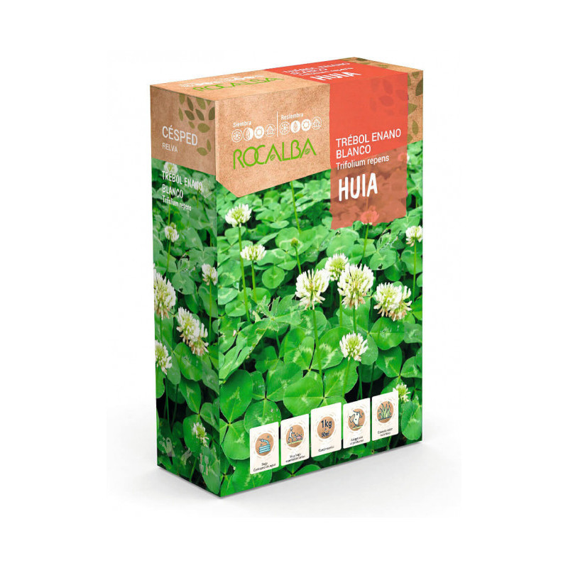 Trébol Blanco HUIA - ROCALBA